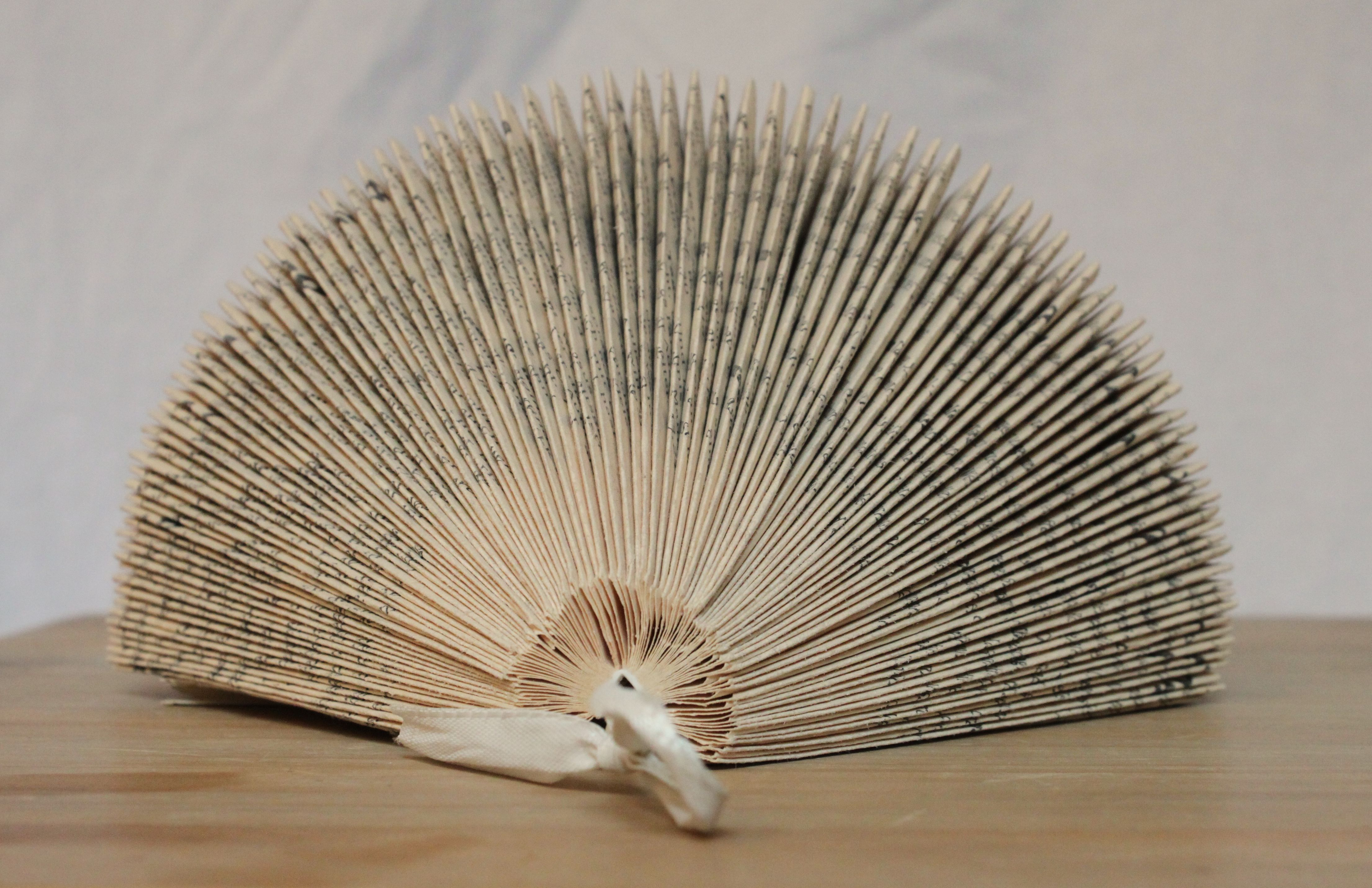 Hochauflösendes Bild wird geladen