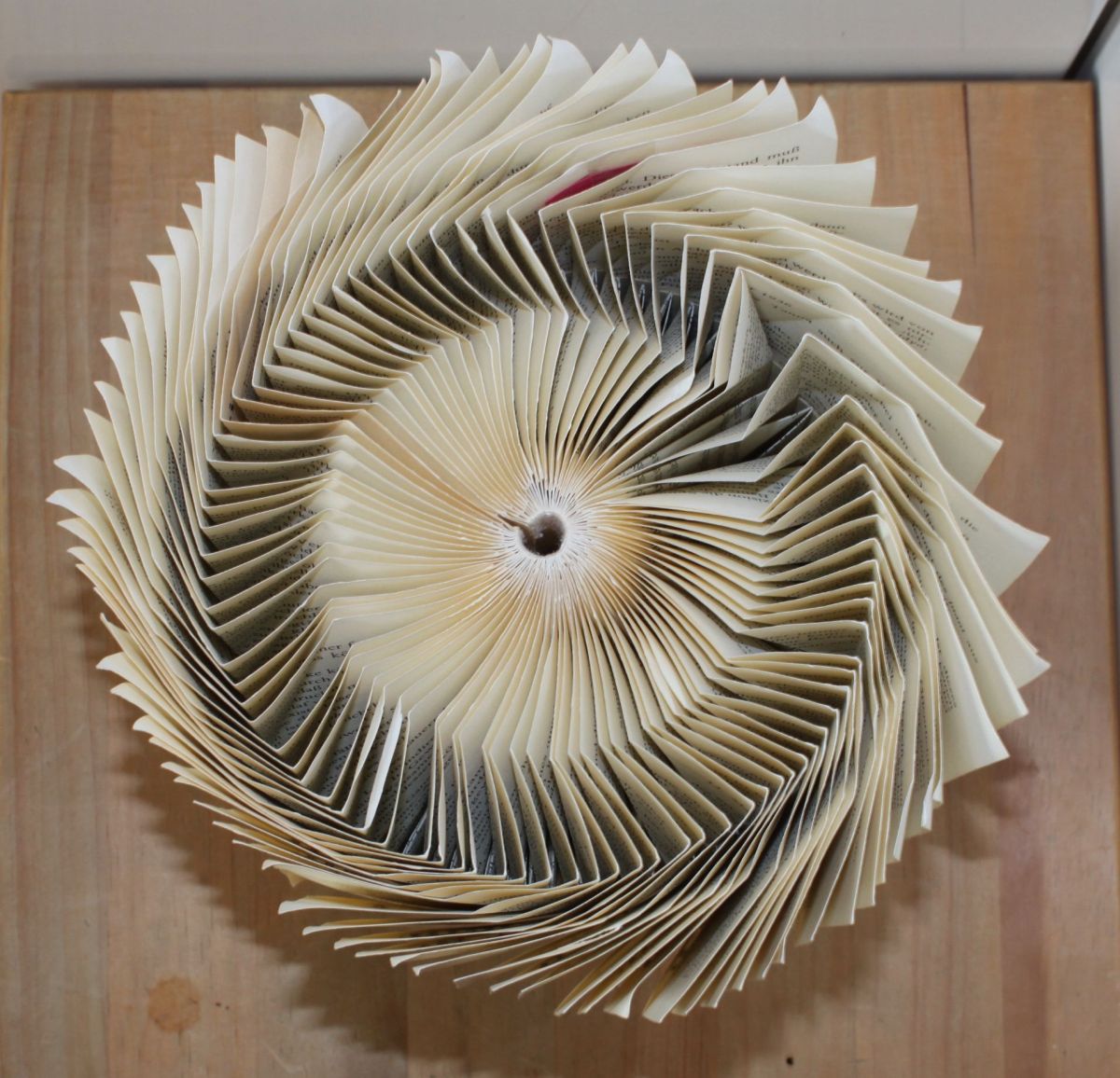 IMG_8833.JPG konnte nicht geladen werden