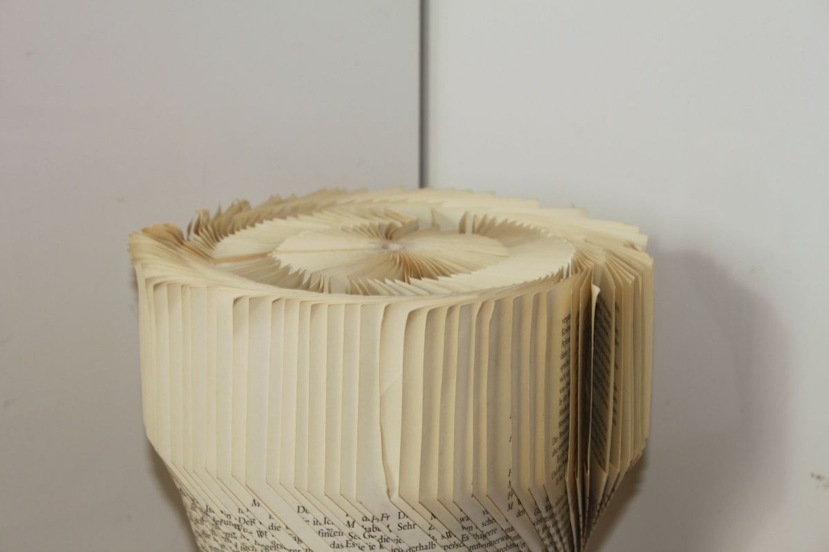 IMG_8837.JPG konnte nicht geladen werden