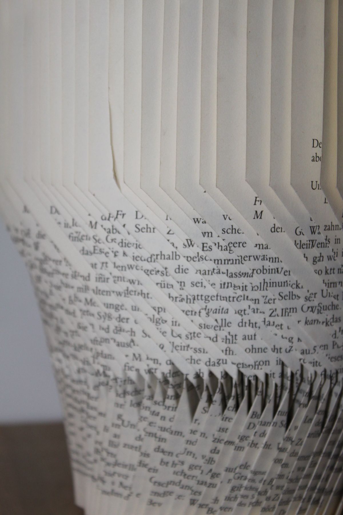 IMG_8842.JPG konnte nicht geladen werden