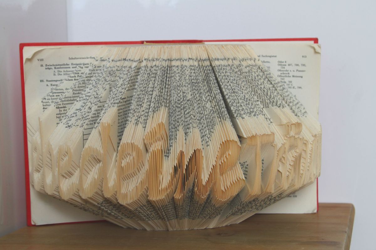 IMG_9143.JPG konnte nicht geladen werden