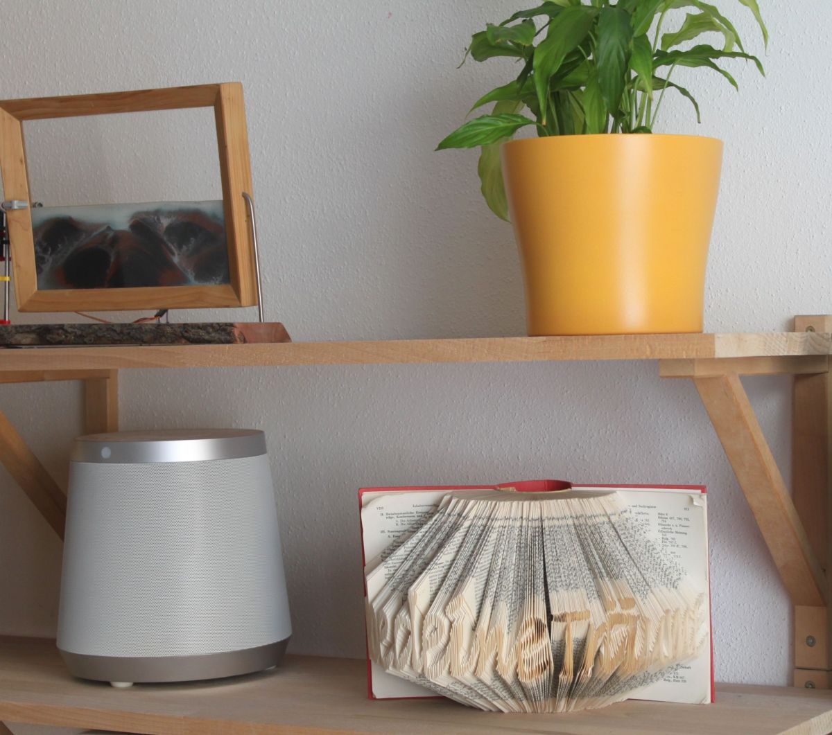 IMG_9149.JPG konnte nicht geladen werden