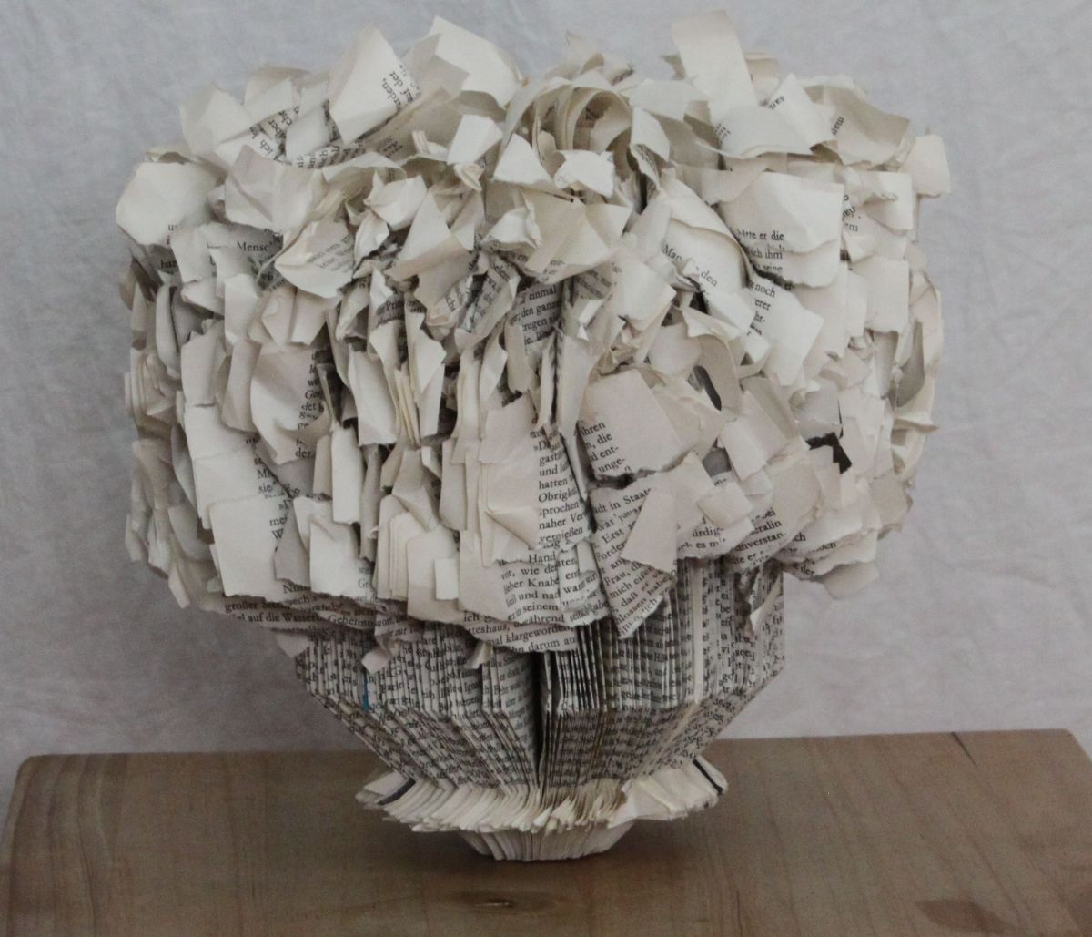 IMG_9201.JPG konnte nicht geladen werden