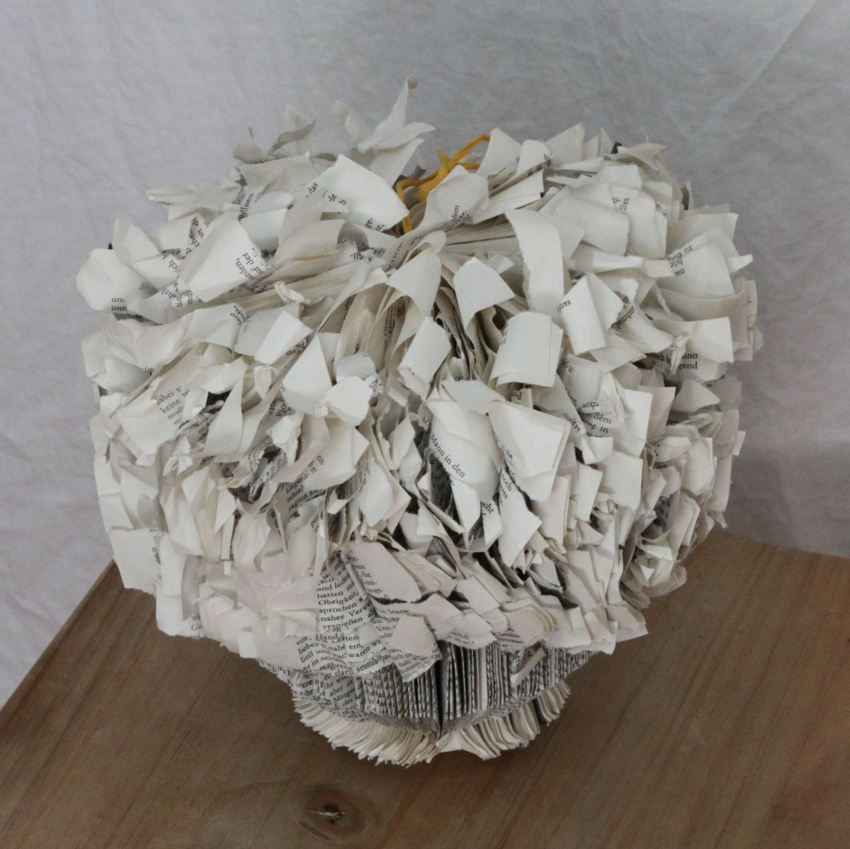 IMG_9202.JPG konnte nicht geladen werden