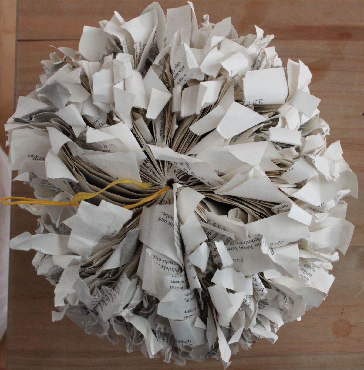 IMG_9204.JPG konnte nicht geladen werden