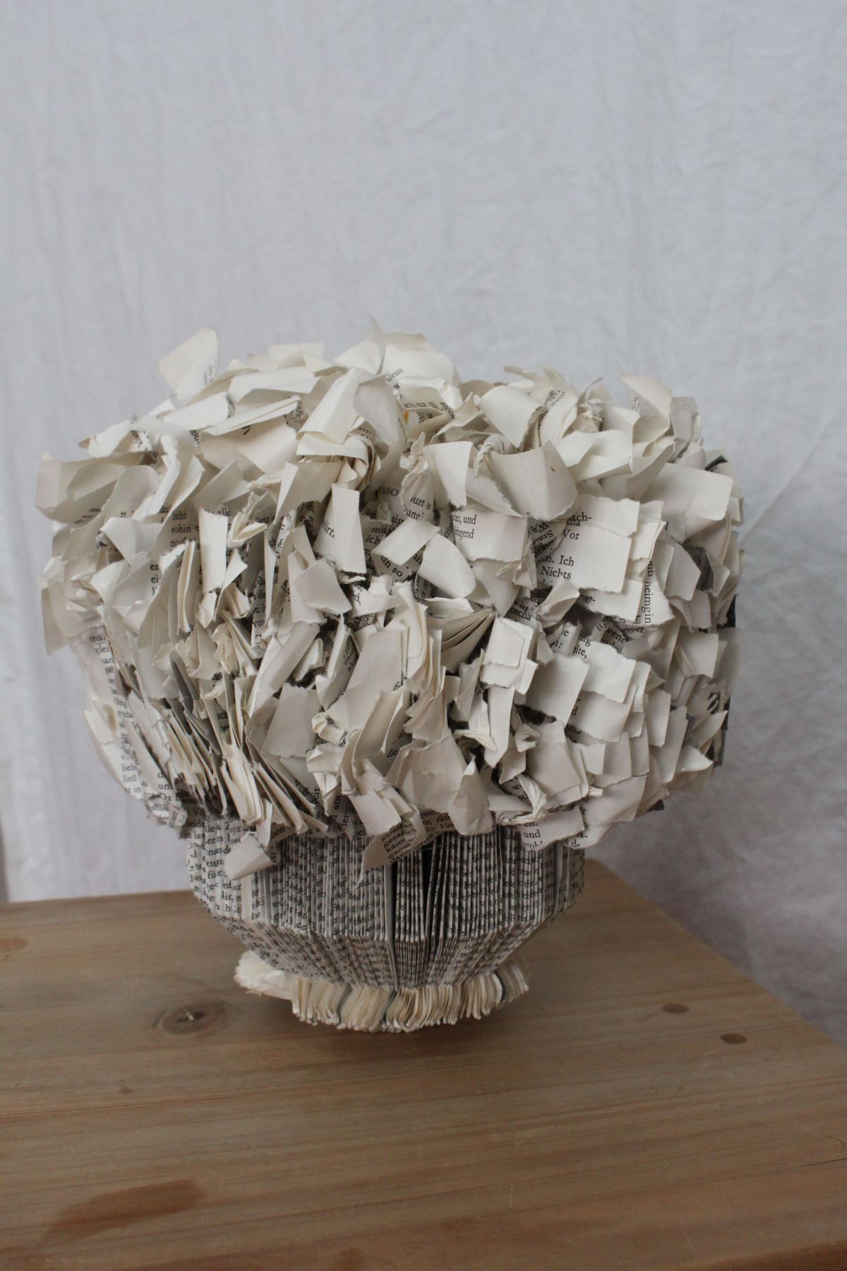 IMG_9205.JPG konnte nicht geladen werden