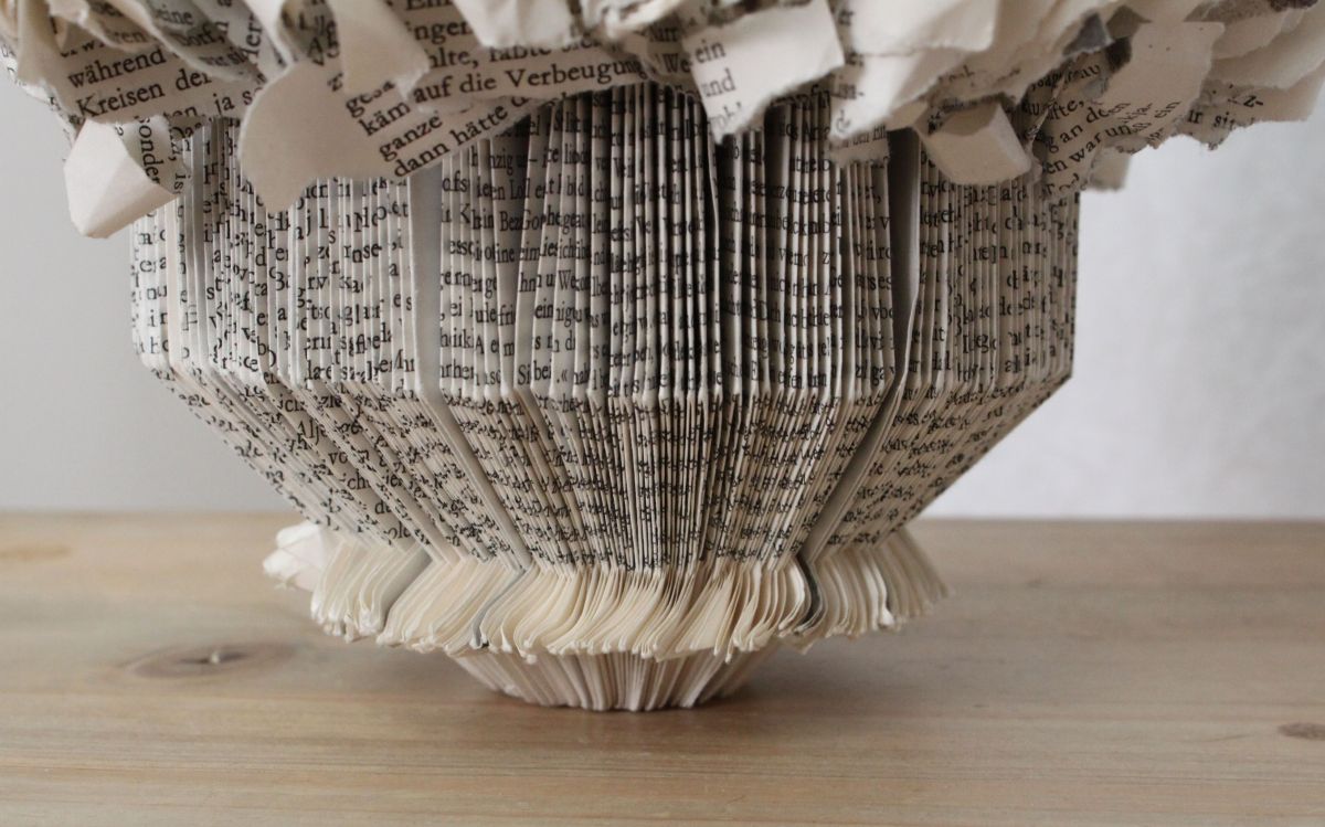 IMG_9206.JPG konnte nicht geladen werden