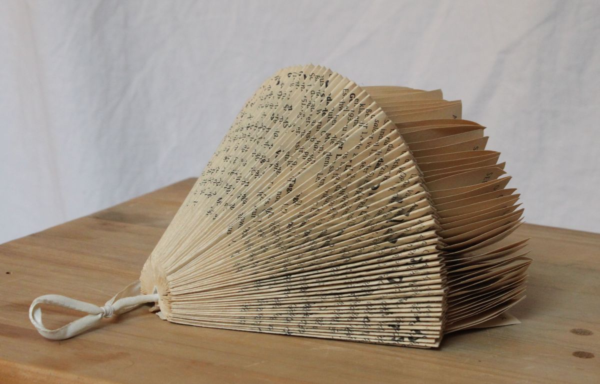 IMG_9218.JPG konnte nicht geladen werden