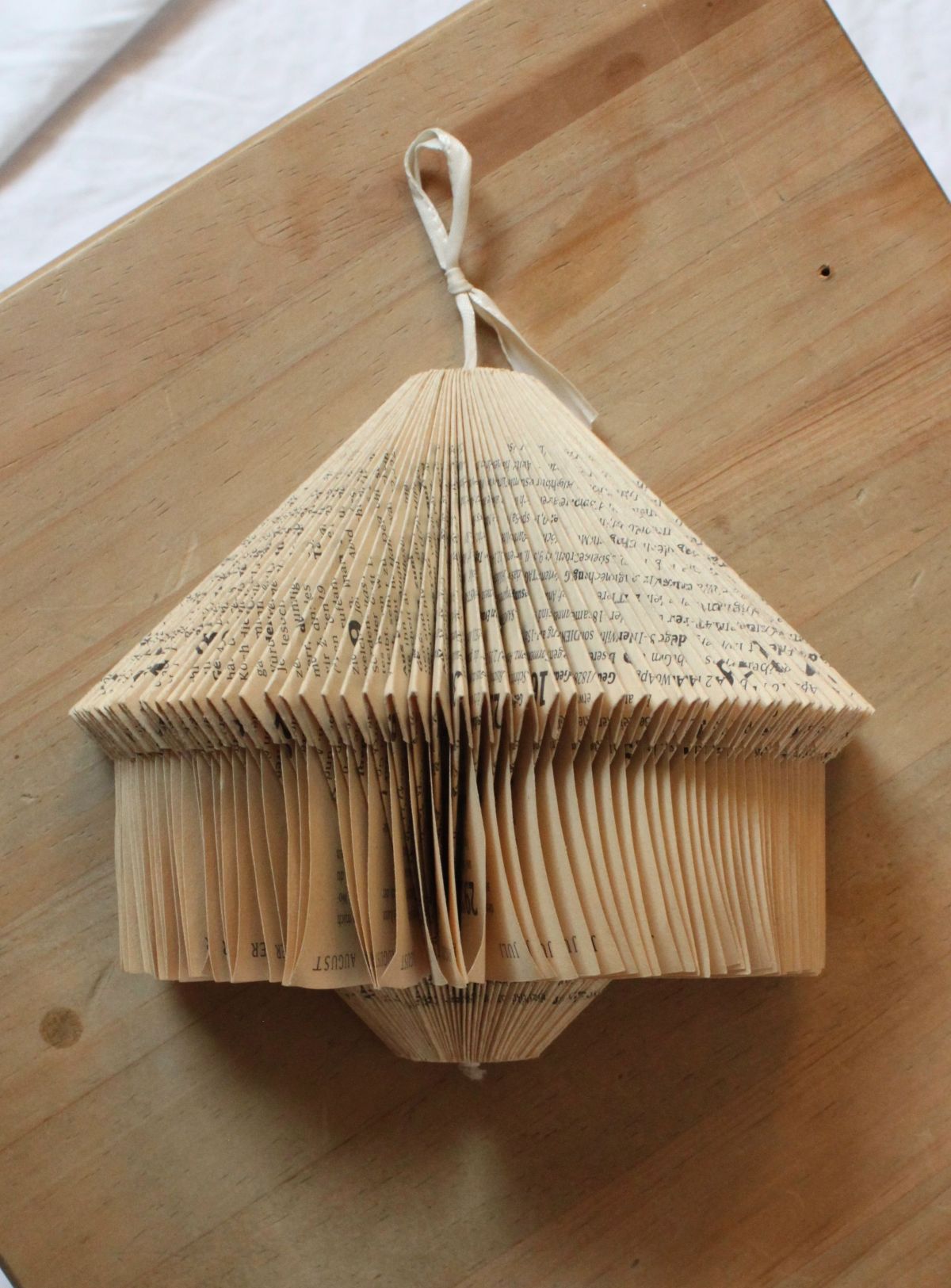 IMG_9221.JPG konnte nicht geladen werden