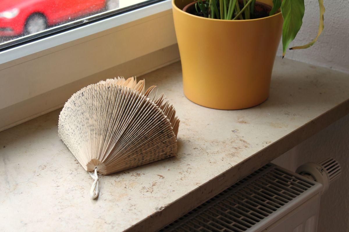 IMG_9238.JPG konnte nicht geladen werden