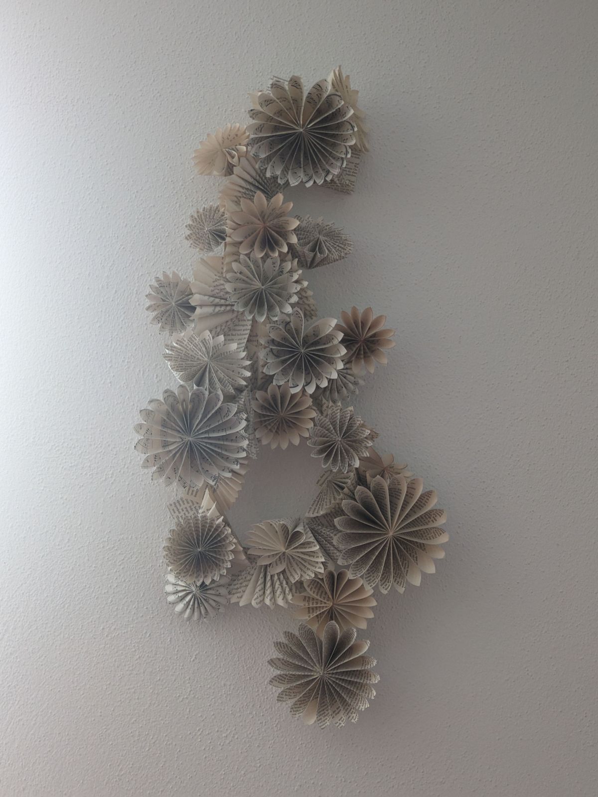 PXL_20230811_100838170.jpg konnte nicht geladen werden