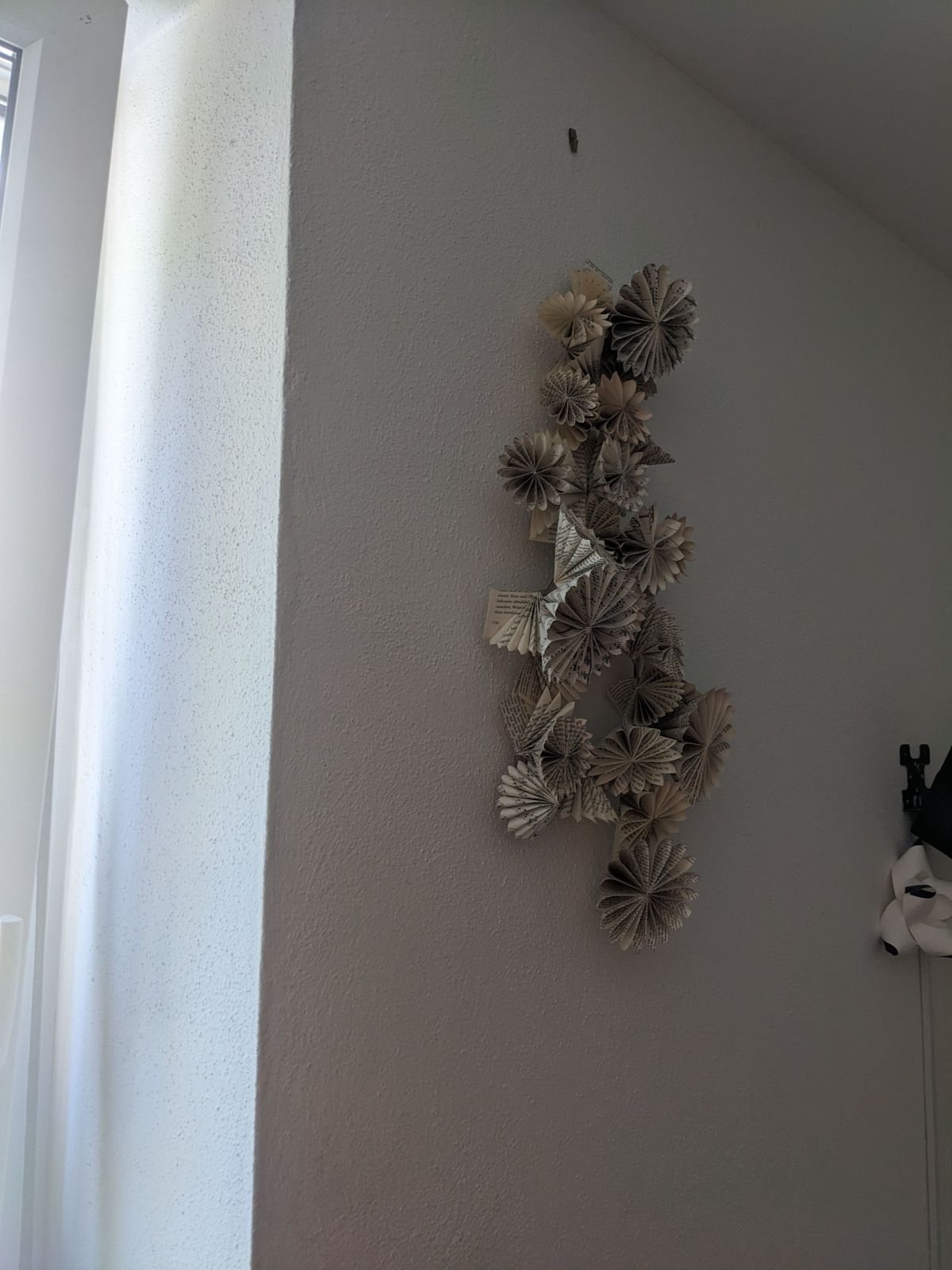 PXL_20230811_100845388.jpg konnte nicht geladen werden