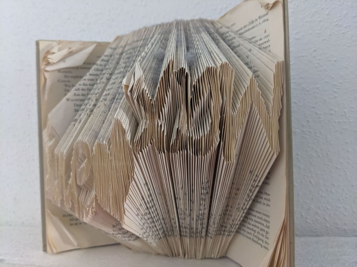 PXL_20230811_100932504.jpg konnte nicht geladen werden